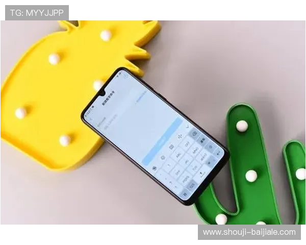 博鱼真人官方网站最新安全策略与隐私保护措施，保障玩家信息安全与游戏公平性