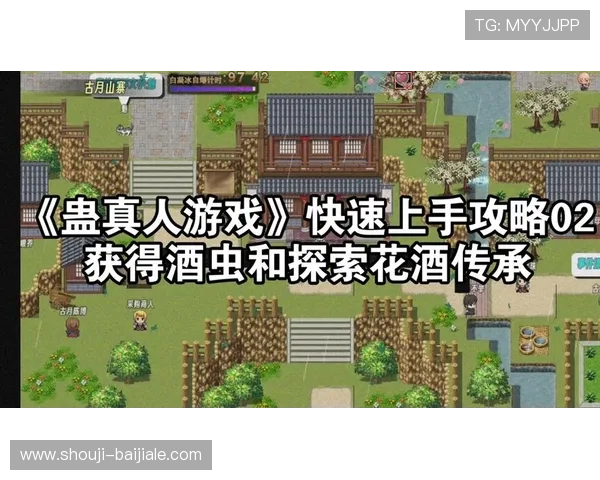 真人游戏下载最新攻略，帮助新手快速上手高质量真人互动游戏
