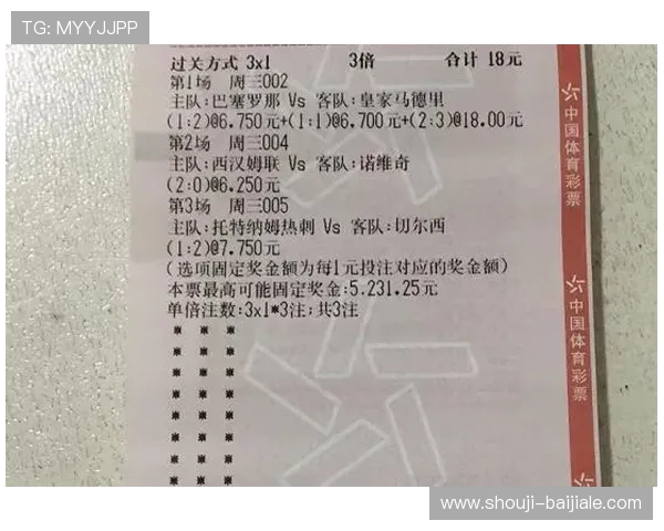 2026年世界杯投注规则详解，帮助用户合理规划投注方案提升中奖几率